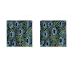 Peacock Feathers Blue Bird Nature Cufflinks (square) by Amaryn4rt