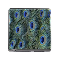 Peacock Feathers Blue Bird Nature Memory Card Reader (square) by Amaryn4rt