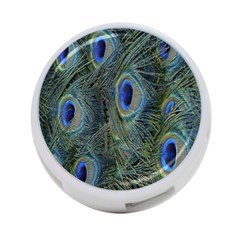 Peacock Feathers Blue Bird Nature 4-port Usb Hub (two Sides)  by Amaryn4rt