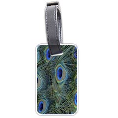 Peacock Feathers Blue Bird Nature Luggage Tags (one Side)  by Amaryn4rt