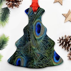 Peacock Feathers Blue Bird Nature Ornament (christmas Tree)  by Amaryn4rt