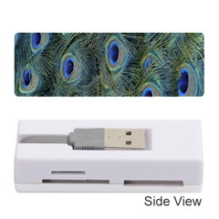 Peacock Feathers Blue Bird Nature Memory Card Reader (stick)  by Amaryn4rt