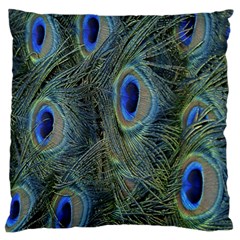 Peacock Feathers Blue Bird Nature Large Cushion Case (two Sides) by Amaryn4rt