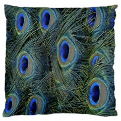 Peacock Feathers Blue Bird Nature Large Flano Cushion Case (two Sides) by Amaryn4rt