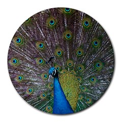 Peacock Feather Beat Rad Blue Round Mousepads by Amaryn4rt