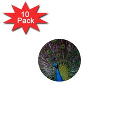 Peacock Feather Beat Rad Blue 1  Mini Buttons (10 Pack)  by Amaryn4rt