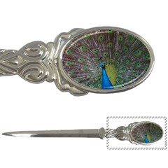 Peacock Feather Beat Rad Blue Letter Openers by Amaryn4rt