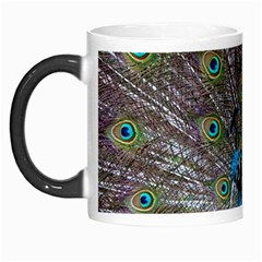 Peacock Feather Beat Rad Blue Morph Mugs by Amaryn4rt