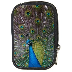 Peacock Feather Beat Rad Blue Compact Camera Cases by Amaryn4rt