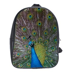 Peacock Feather Beat Rad Blue School Bags(large)  by Amaryn4rt