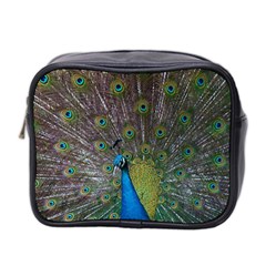 Peacock Feather Beat Rad Blue Mini Toiletries Bag 2-side by Amaryn4rt