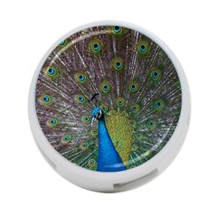 Peacock Feather Beat Rad Blue 4-port Usb Hub (one Side) by Amaryn4rt