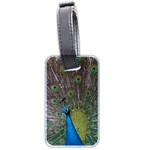 Peacock Feather Beat Rad Blue Luggage Tags (Two Sides) Front