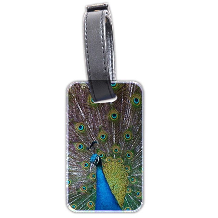 Peacock Feather Beat Rad Blue Luggage Tags (Two Sides)