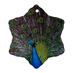 Peacock Feather Beat Rad Blue Ornament (snowflake) by Amaryn4rt