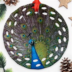 Peacock Feather Beat Rad Blue Round Filigree Ornament (two Sides) by Amaryn4rt