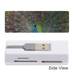 Peacock Feather Beat Rad Blue Memory Card Reader (stick)  by Amaryn4rt