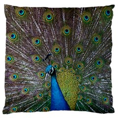 Peacock Feather Beat Rad Blue Large Cushion Case (one Side) by Amaryn4rt