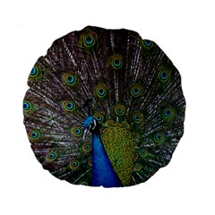 Peacock Feather Beat Rad Blue Standard 15  Premium Round Cushions by Amaryn4rt