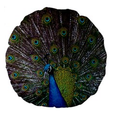 Peacock Feather Beat Rad Blue Large 18  Premium Round Cushions by Amaryn4rt