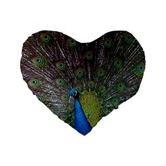 Peacock Feather Beat Rad Blue Standard 16  Premium Heart Shape Cushions by Amaryn4rt