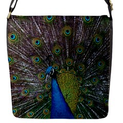 Peacock Feather Beat Rad Blue Flap Messenger Bag (s) by Amaryn4rt