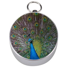 Peacock Feather Beat Rad Blue Silver Compasses by Amaryn4rt