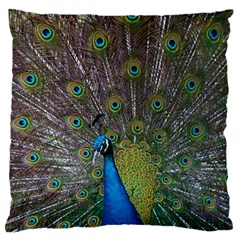 Peacock Feather Beat Rad Blue Standard Flano Cushion Case (one Side) by Amaryn4rt