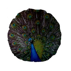 Peacock Feather Beat Rad Blue Standard 15  Premium Flano Round Cushions by Amaryn4rt