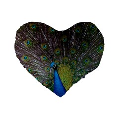 Peacock Feather Beat Rad Blue Standard 16  Premium Flano Heart Shape Cushions by Amaryn4rt