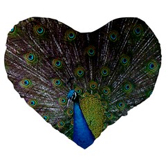 Peacock Feather Beat Rad Blue Large 19  Premium Flano Heart Shape Cushions by Amaryn4rt