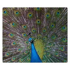 Peacock Feather Beat Rad Blue Double Sided Flano Blanket (small)  by Amaryn4rt