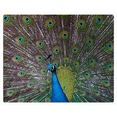 Peacock Feather Beat Rad Blue Double Sided Flano Blanket (medium)  by Amaryn4rt