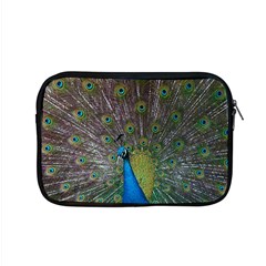 Peacock Feather Beat Rad Blue Apple Macbook Pro 15  Zipper Case by Amaryn4rt