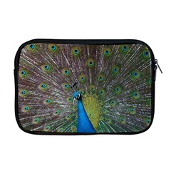 Peacock Feather Beat Rad Blue Apple Macbook Pro 17  Zipper Case by Amaryn4rt