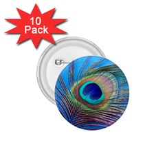 Peacock Feather Blue Green Bright 1.75  Buttons (10 pack)