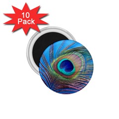 Peacock Feather Blue Green Bright 1 75  Magnets (10 Pack)  by Amaryn4rt