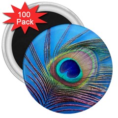 Peacock Feather Blue Green Bright 3  Magnets (100 pack)