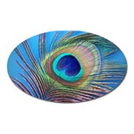 Peacock Feather Blue Green Bright Oval Magnet Front