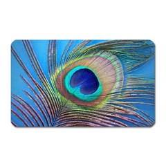 Peacock Feather Blue Green Bright Magnet (Rectangular)