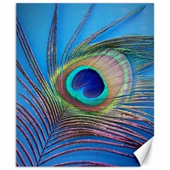 Peacock Feather Blue Green Bright Canvas 8  x 10 