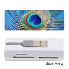 Peacock Feather Blue Green Bright Memory Card Reader (Stick) 