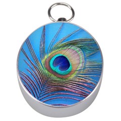 Peacock Feather Blue Green Bright Silver Compasses