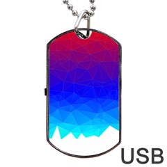 Gradient Red Blue Landfill Dog Tag USB Flash (One Side)