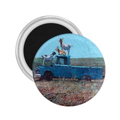 Goats On A Pickup Truck 2 25  Magnets