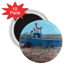 Goats On A Pickup Truck 2 25  Magnets (10 Pack)  by digitaldivadesigns