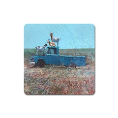 Goats On A Pickup Truck Square Magnet by digitaldivadesigns