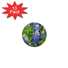 Blue Bonnets 1  Mini Buttons (10 Pack) 