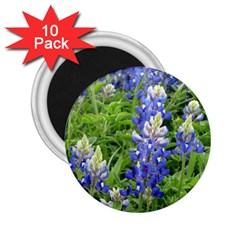 Blue Bonnets 2 25  Magnets (10 Pack)  by CreatedByMeVictoriaB