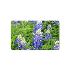 Blue Bonnets Magnet (name Card) by CreatedByMeVictoriaB